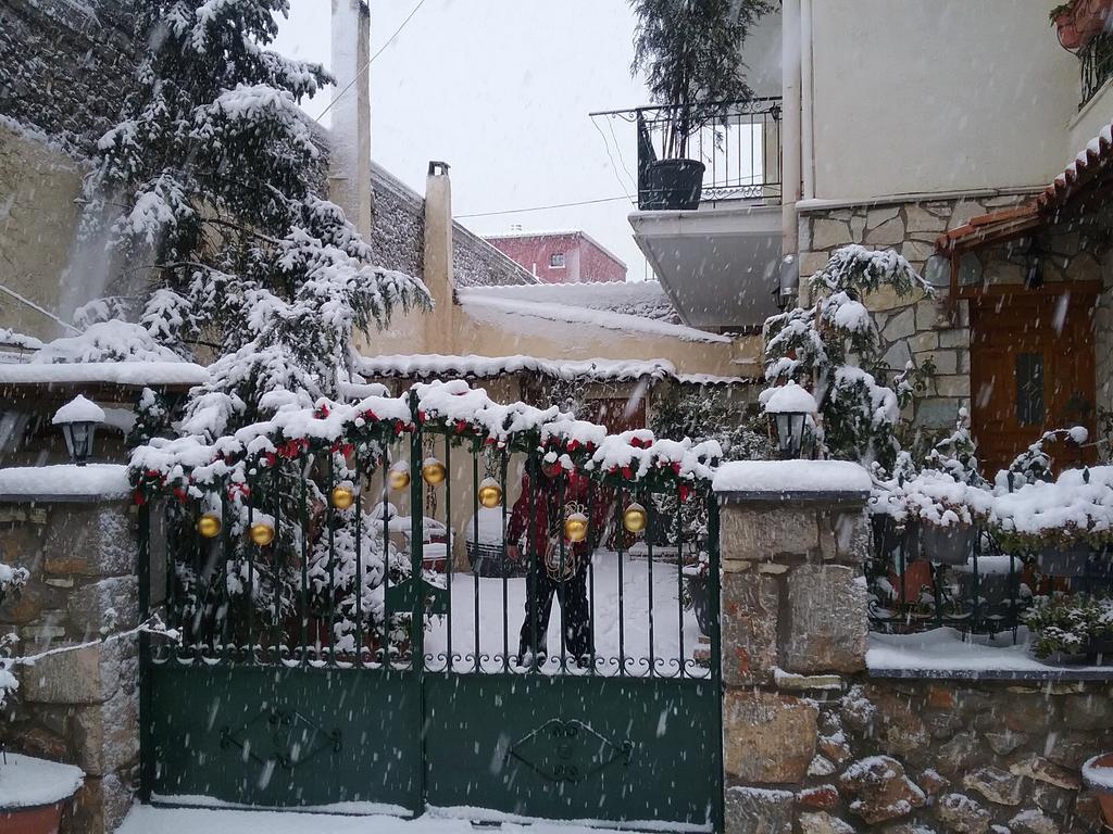 Appartamento Patriko Arachova Esterno foto